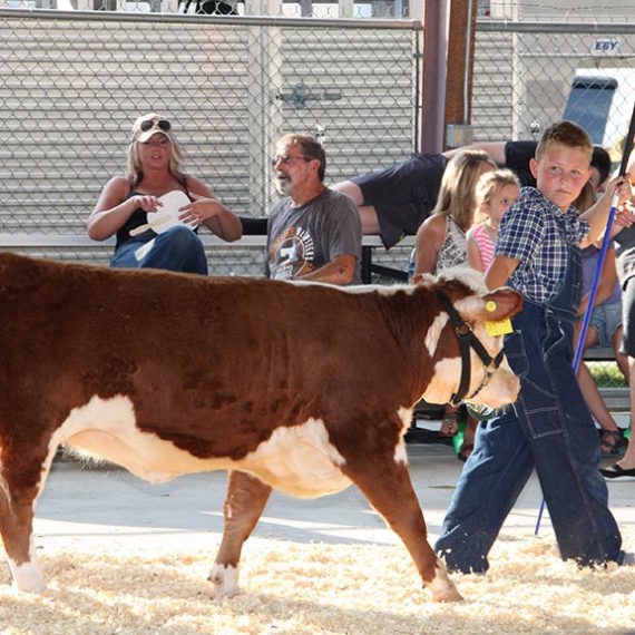 Photos - Anderson County Fair